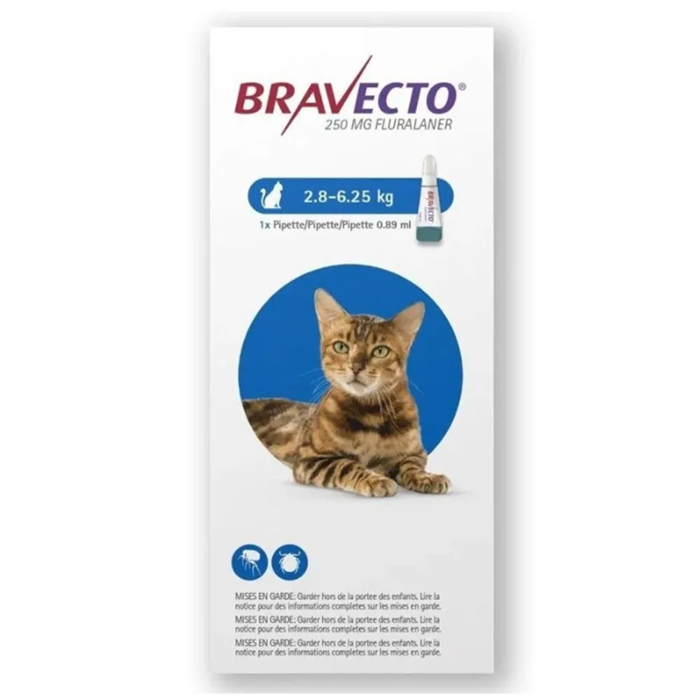 Desparasitante bravecto para gatos 2.8 - 6.25 Kg