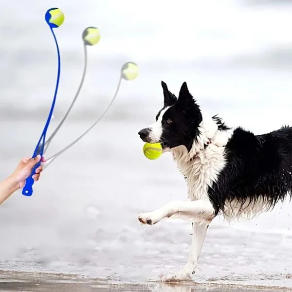 Lanzador De Pelota Para Perros