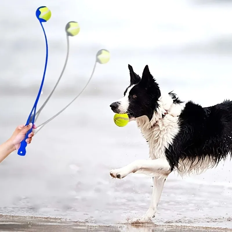 Lanzador De Pelota Para Perros