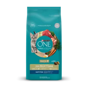 Purina One Gatitos 2 Kg