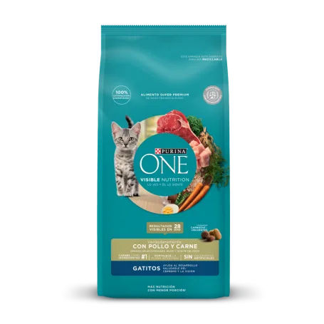 Purina One Gatitos 2 Kg