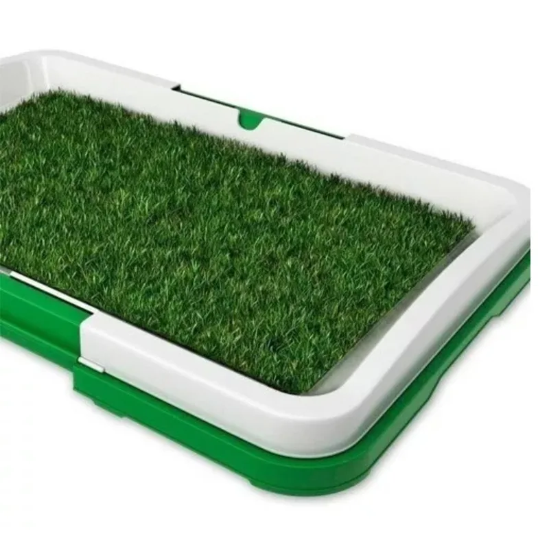 Tapete Mediano de Entrenamiento Para Perros Baño