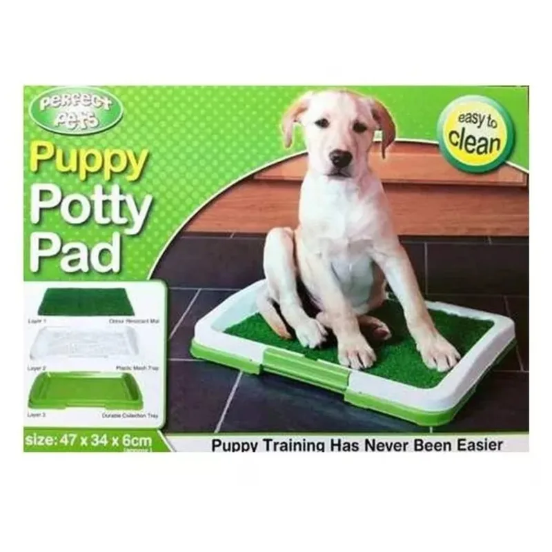 Tapete Mediano de Entrenamiento Para Perros Baño - Imagen 3